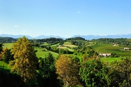 Un'immagine dei colli berici Un'immagine dei colli berici