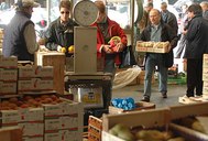 Un'immagine del mercato ortofrutticolo di Vicenza Un'immagine del mercato ortofrutticolo di Vicenza