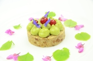 A LEZIONE DI PASTICCERIA VEGAN, CON IL CORSO SPONS A LEZIONE DI PASTICCERIA VEGAN, CON IL CORSO SPONS