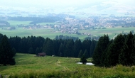CONTRIBUTI A SOSTEGNO DELL'ECONOMIA TURISTICA MONT CONTRIBUTI A SOSTEGNO DELL'ECONOMIA TURISTICA MONT
