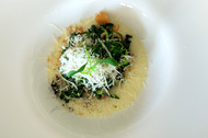 Nelle foto, alcuni piatti al tarassaco realizzati dallo chef Elvis Pilati del ristorante Milleluci Nelle foto, alcuni piatti al tarassaco realizzati dallo chef Elvis Pilati del ristorante Milleluci
