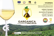 GARGANEGA E VINI VULCANICI PROTAGONISTI A VICENZA GARGANEGA E VINI VULCANICI PROTAGONISTI A VICENZA