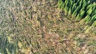 TURISMO E MALTEMPO IN MONTAGNA: PROROGATE LE SCADE TURISMO E MALTEMPO IN MONTAGNA: PROROGATE LE SCADE