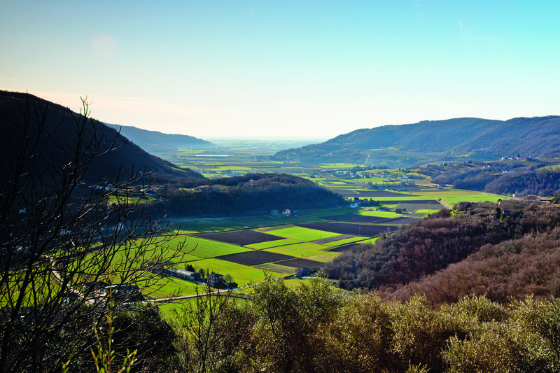 CONTRIBUTI A FONDO PERDUTO PER LE ATTIVITA’ COMMERCIALI ED ARTIGIANALI DEL COMUNE DI VAL LIONA