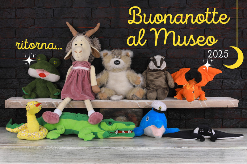 A VICENZA C’È “BUONANOTTE AL MUSEO”