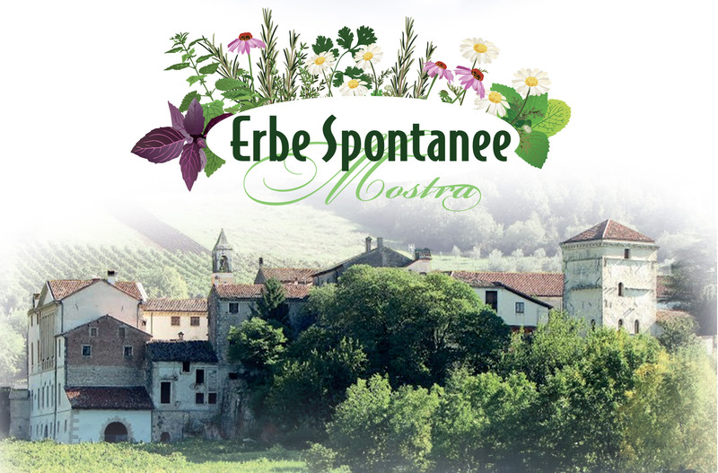 VAL LIONA CAPITALE DELLE ERBE SPONTANEE