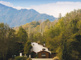 Il "Ristorante Casin del Gamba"