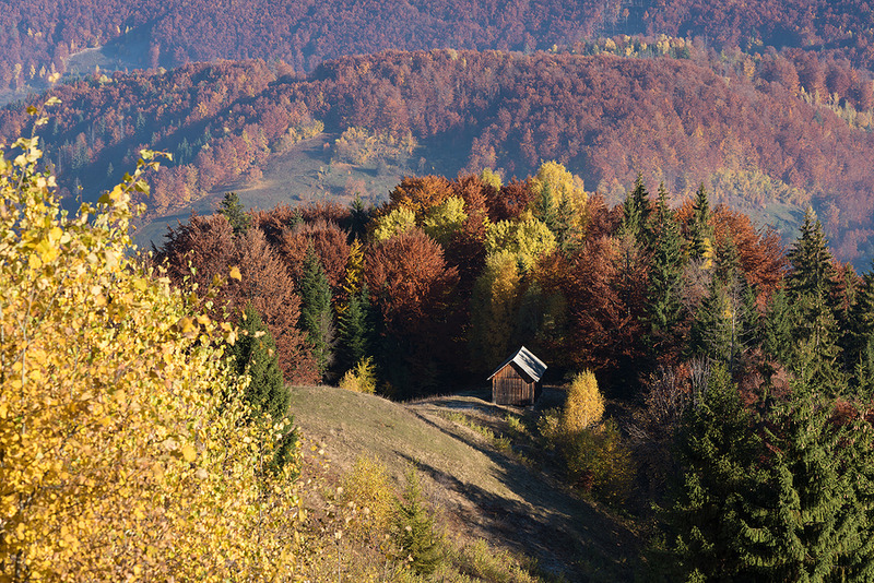 ASIAGO E ROANA SI VESTONO D’ORO PER CELEBRARE LA NATURA E I SUOI PRODOTTI