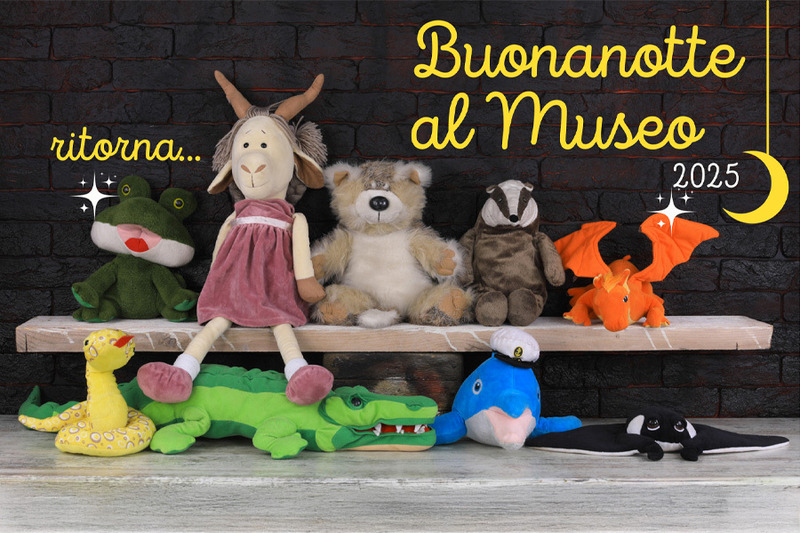 A VICENZA C’È “BUONANOTTE AL MUSEO”