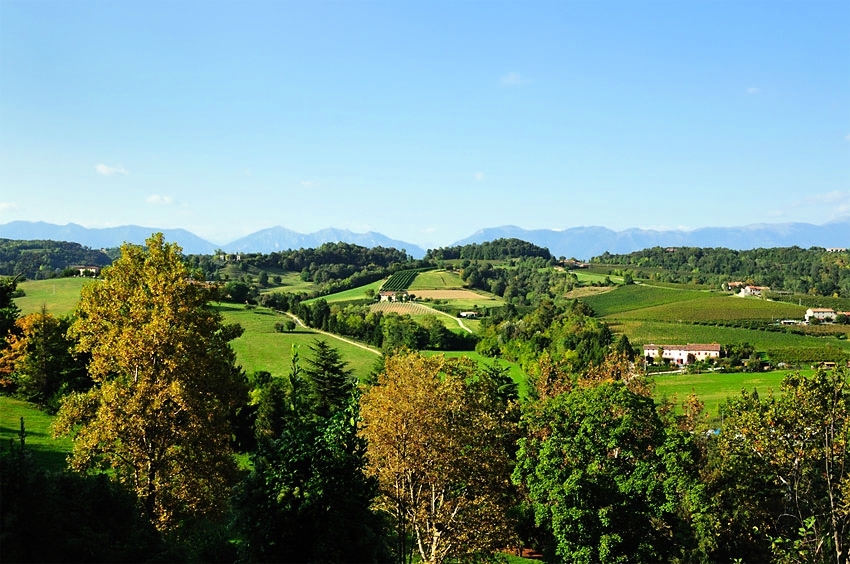 Un'immagine dei colli berici