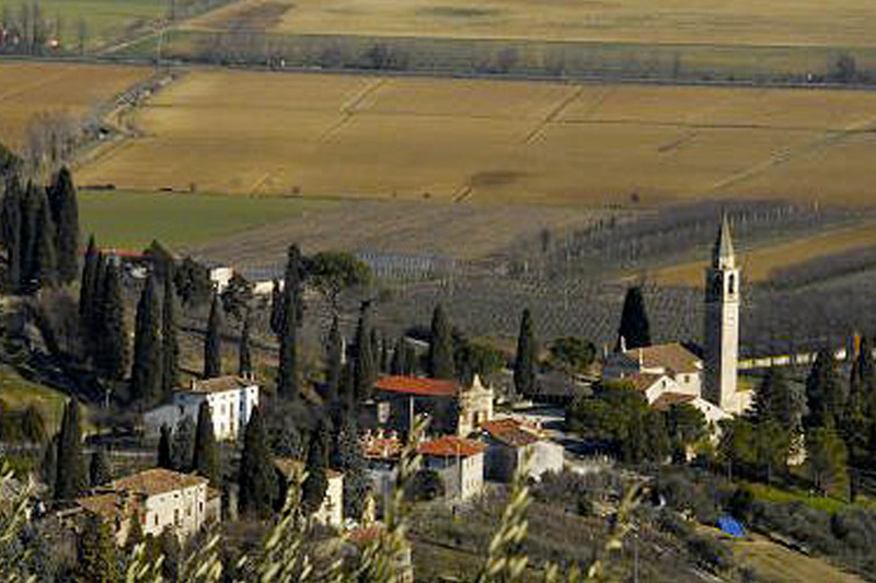 IL BANDO RILANCIA IL DISTRETTO DEL COMMERCIO “COLLI BERICI”