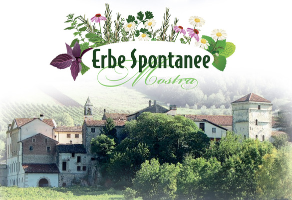 VAL LIONA CAPITALE DELLE ERBE SPONTANEE