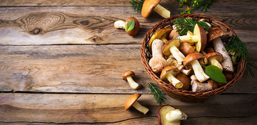 TESORI DEL BOSCO E ROSSO DI BREGANZE TORNANO PROTAGONISTI A TAVOLA