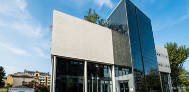 TERZIARIO: UN 2025 NEL SEGNO DELLA STABILITÀ, MA IL DETTAGLIO SOFFRE DI PIÙ