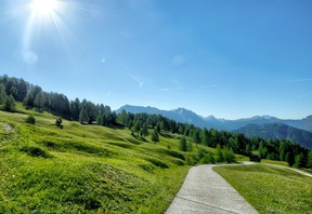 CONTRIBUTI PER LE IMPRESE NEI COMUNI DEL GAL “MONTAGNA VICENTINA”
