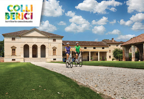 COLLI BERICI: UN COORDINAMENTO TRA GLI OPERATORI