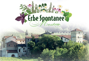 VAL LIONA CAPITALE DELLE ERBE SPONTANEE