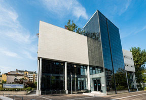 TERZIARIO: UN 2025 NEL SEGNO DELLA STABILITÀ, MA IL DETTAGLIO SOFFRE DI PIÙ